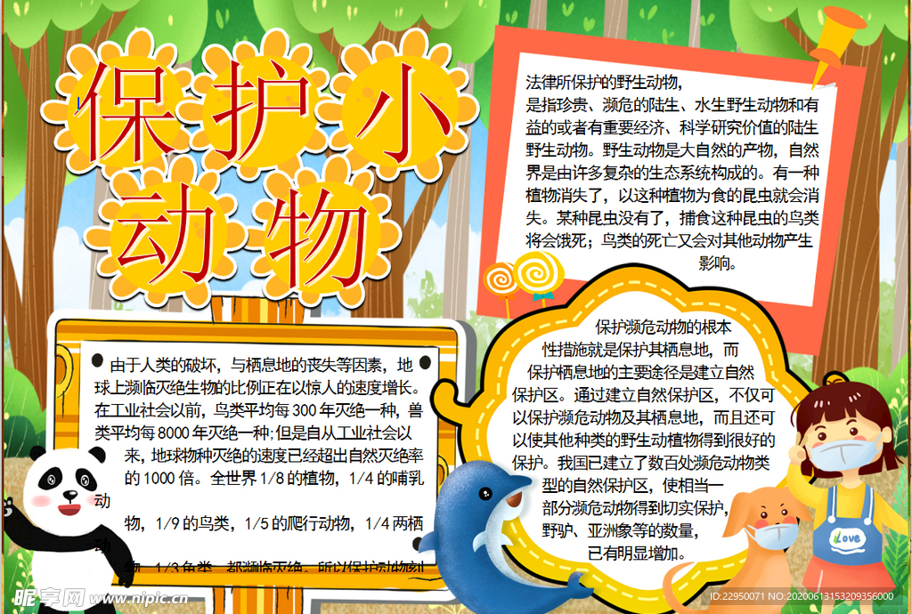 动物小报
