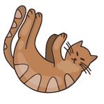 卡通动物猫咪图案