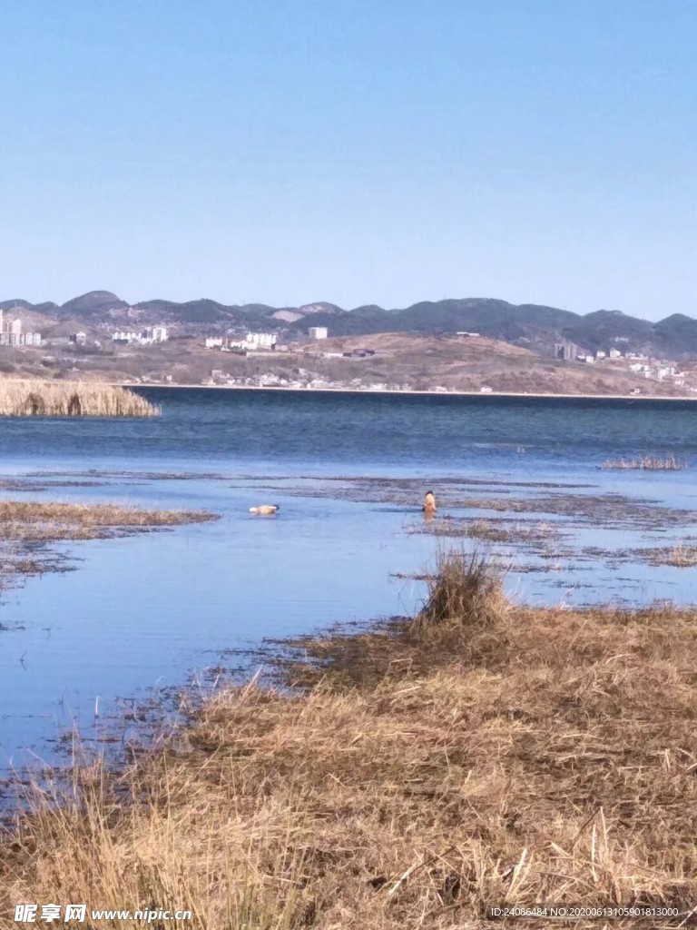 草海图  拍照  照片