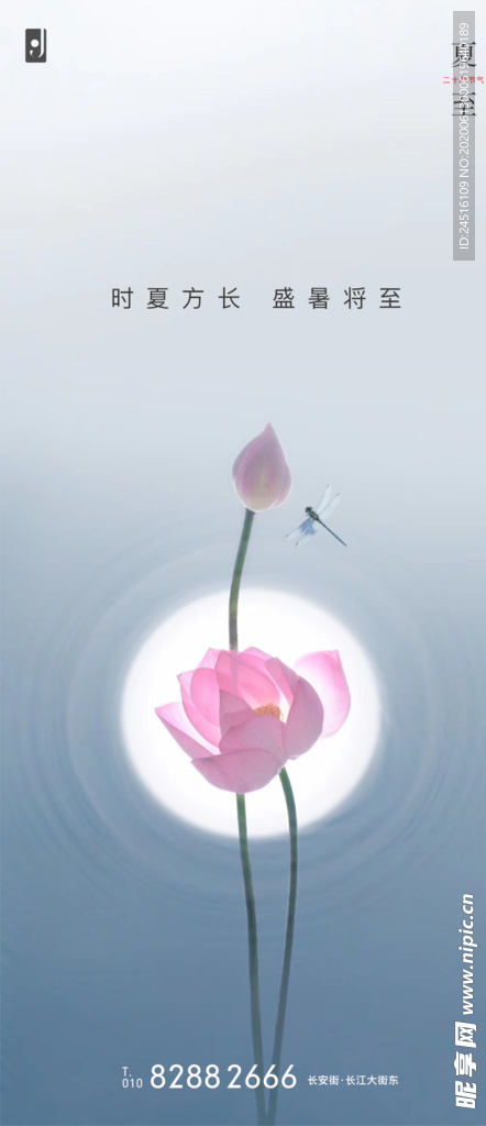 夏至