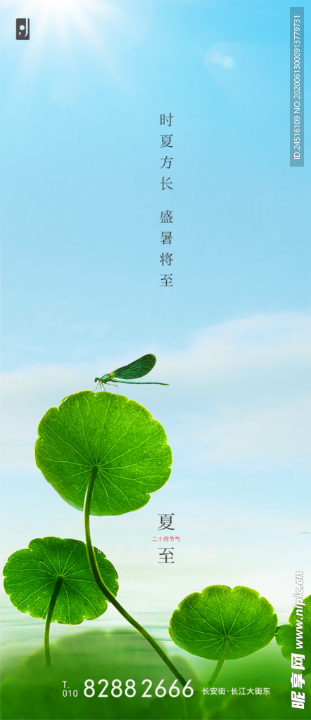 夏至