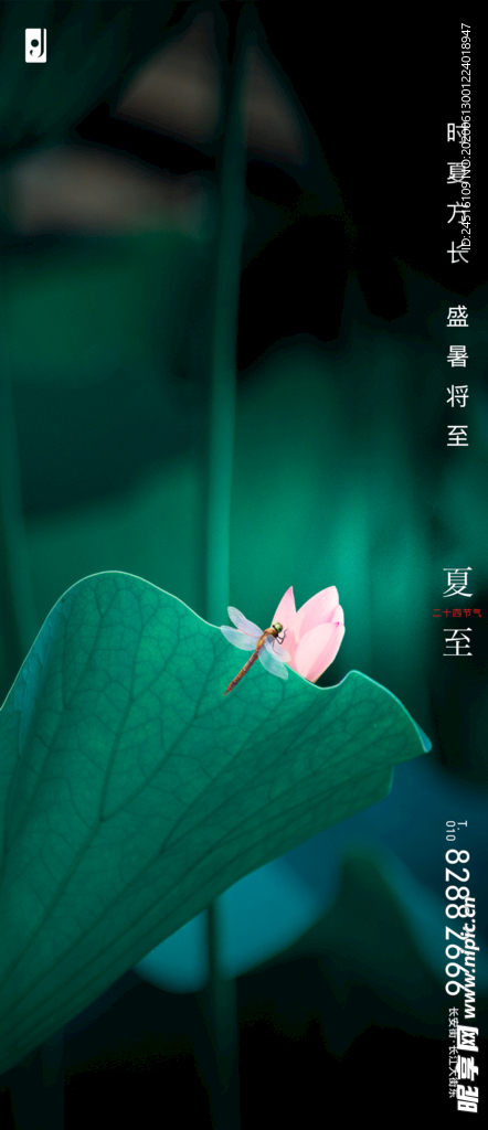 夏至