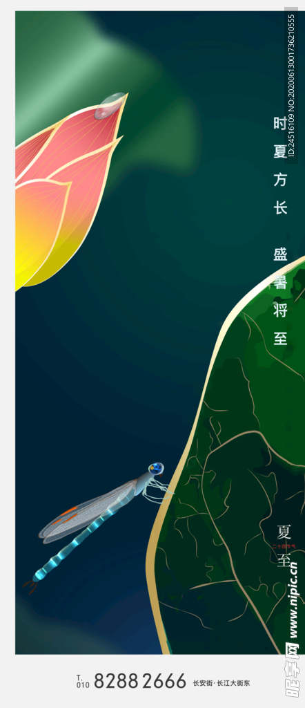 夏至