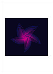 五星logo