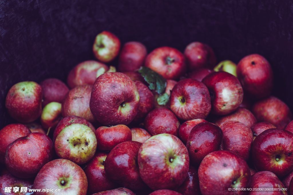 苹果红苹果青苹果图片