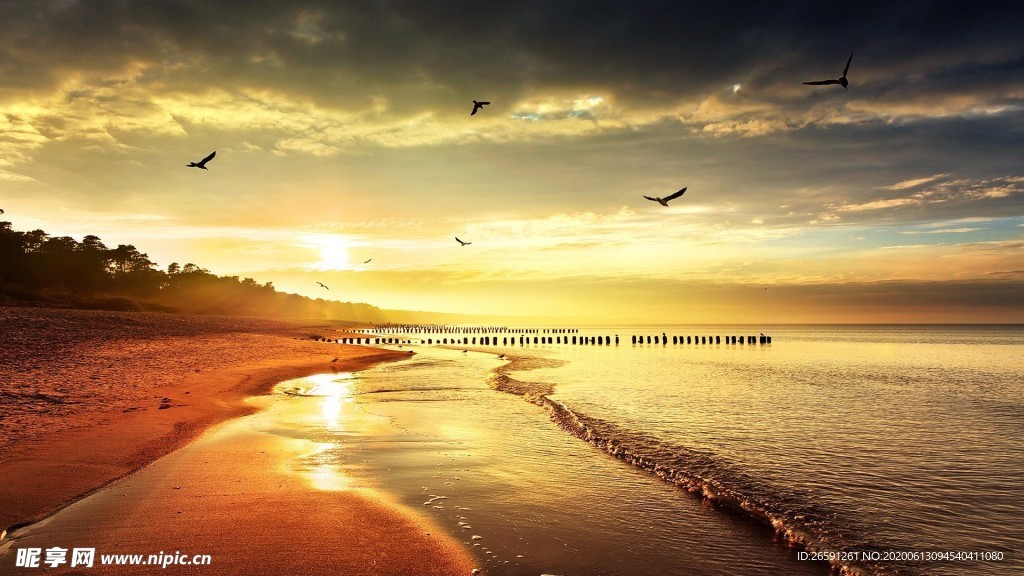 金色夕阳的海边