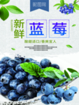 新鲜蓝莓
