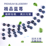 精品蓝莓标签