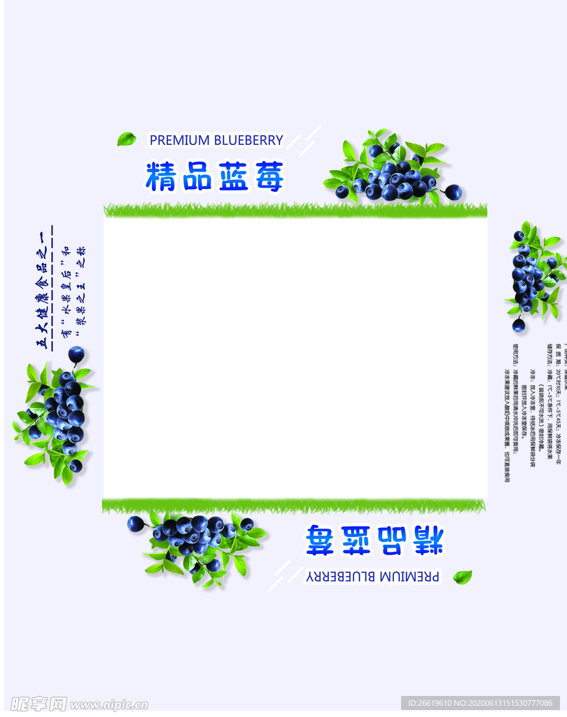 蓝莓托盒