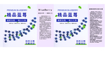 蓝莓手提嗲