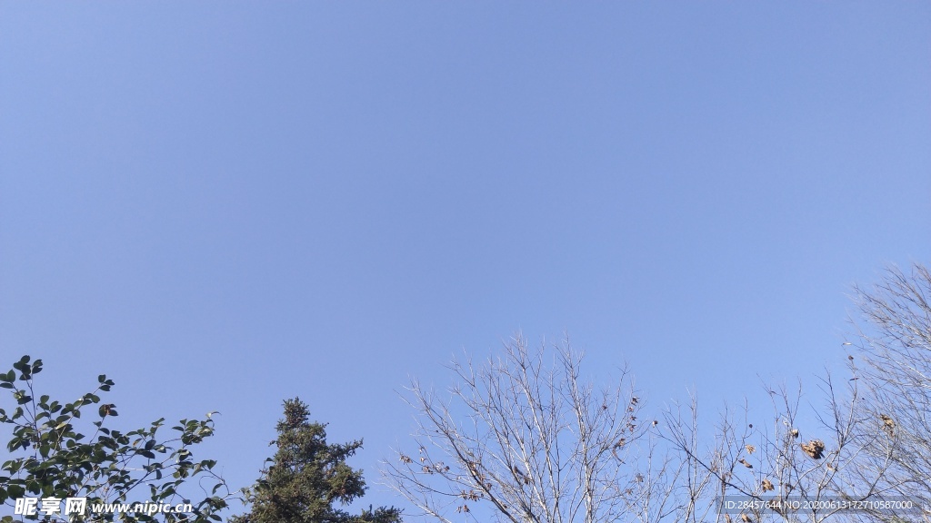 蓝天