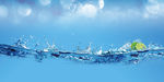 水珠背景