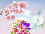 背景墙