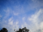 天空色