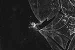 玻璃破碎效果