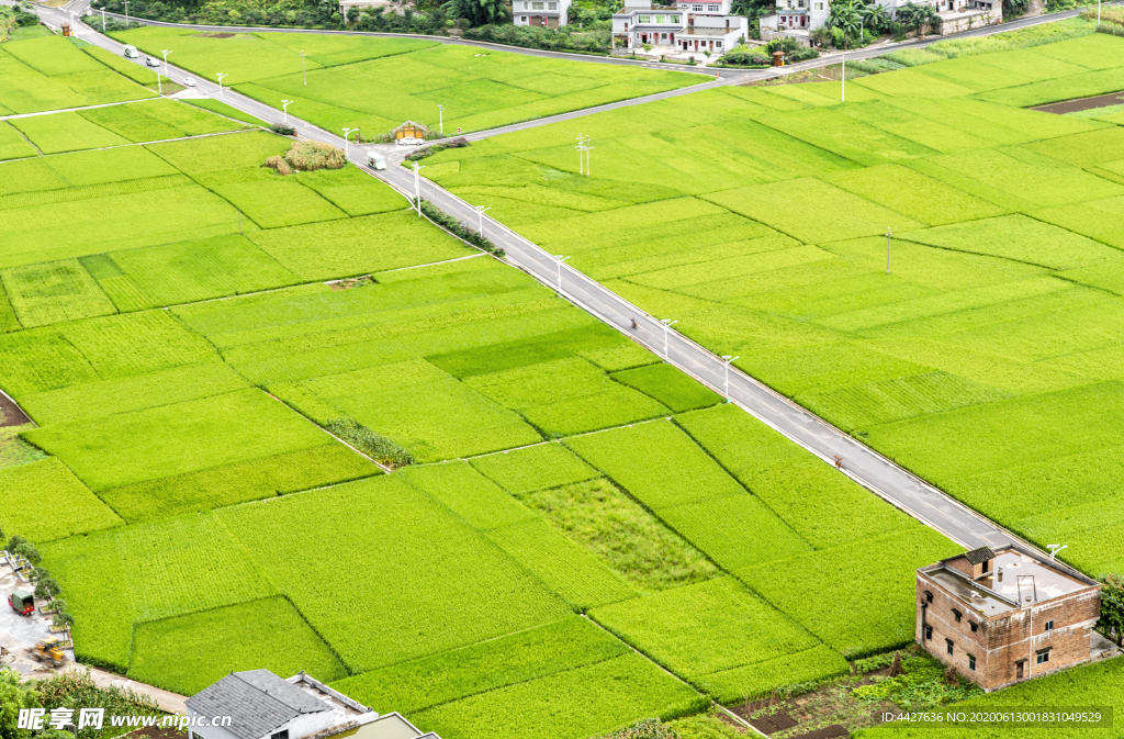 田园风光