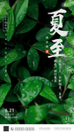 夏至