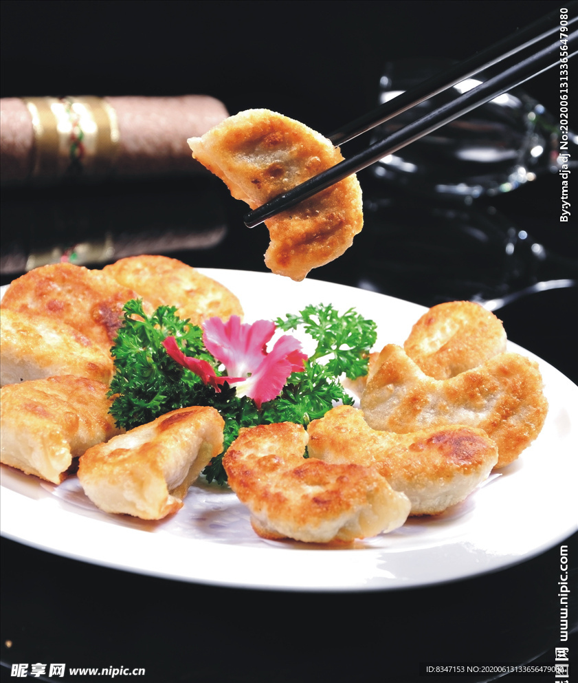 饺子 蒸饺 煎饺 蒸饺子