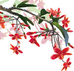 中国风传统水墨树枝红色花朵