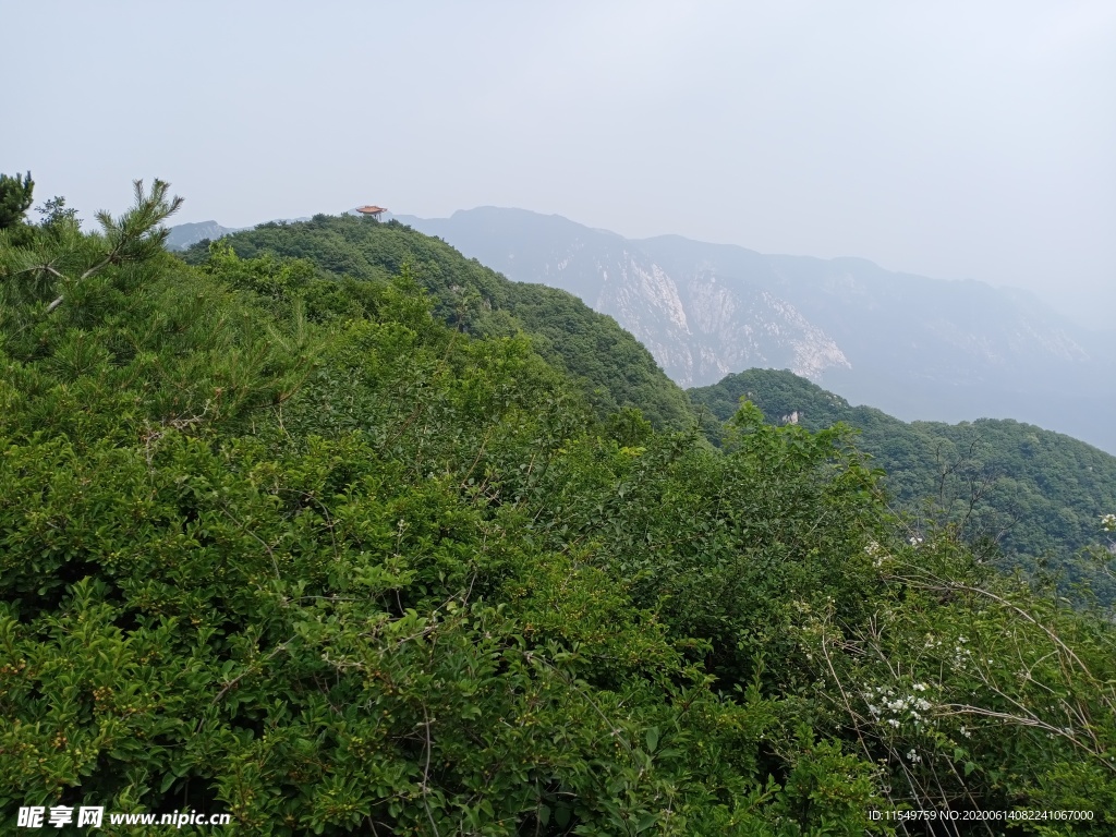 赏嵩峰