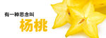 杨桃