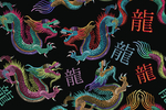 龙纹印花