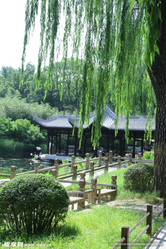 园林风景