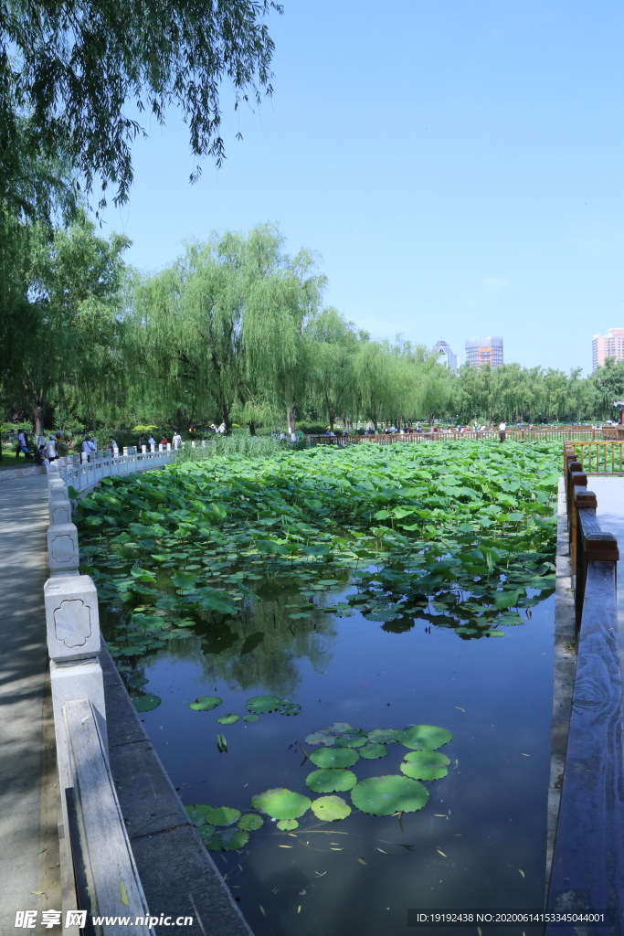 湖水风景