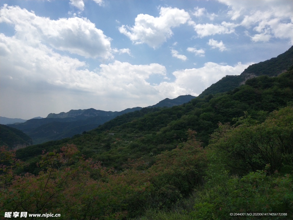 风景