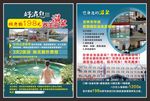 温泉养生单页
