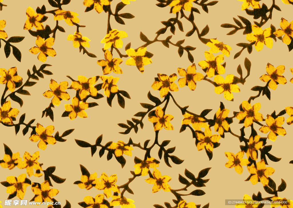 小黄花