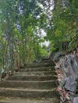 山间小路