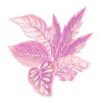 枫叶