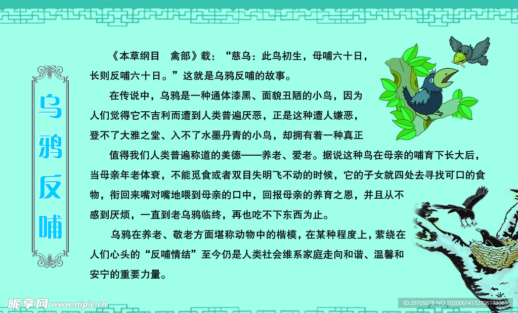 乌鸦反哺