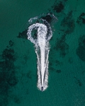 海景