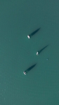 海景