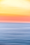 海洋