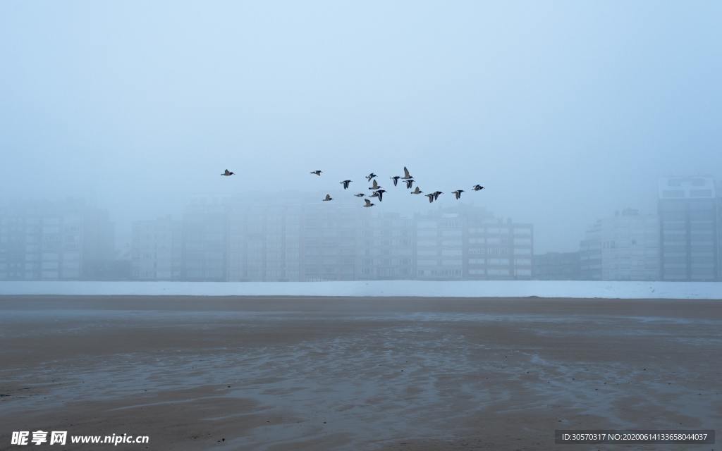 海