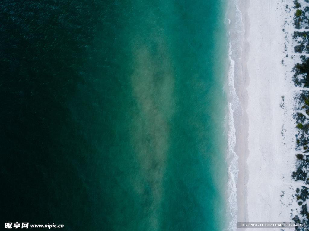 海
