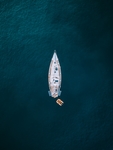 海