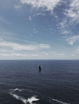 海洋