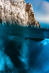 海
