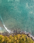 海