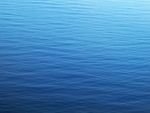海洋