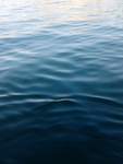 海洋