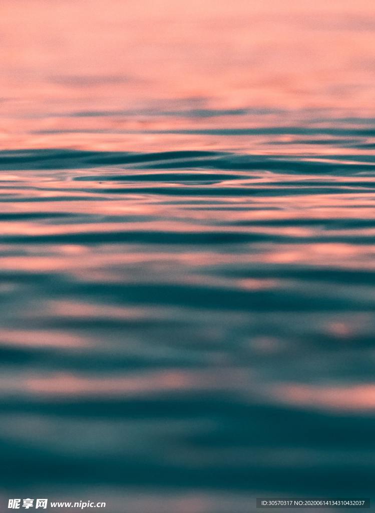 海洋
