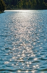 海洋
