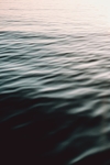 海洋