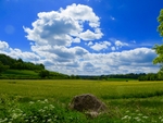 风景