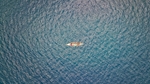 海洋